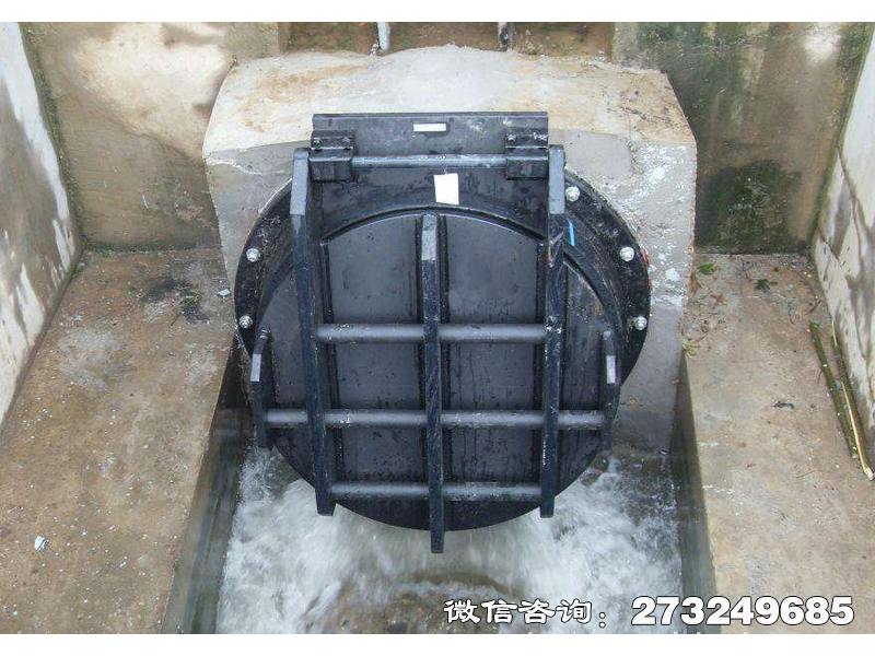 汉滨钢制水渠拍门